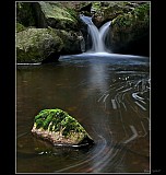 Thumbnail of Cerna_desna.jpg