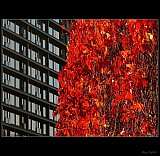 Thumbnail of Hotel-Thermal.jpg